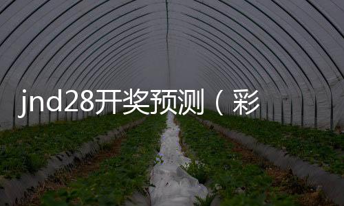 jnd28開獎預測（彩28開獎網）